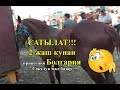 2-жаш кунан САТЫЛАТ//Болгария//привозной//Сокулук мал базар!!!