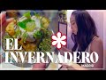 1 MICHELIN STAR | El Invernadero, Spain