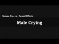 Male Crying Sound Effect 