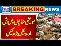Huge Number of Small and Large Animals | Eid-ul-Adha 2026 | Breaking News | Lahore News HD