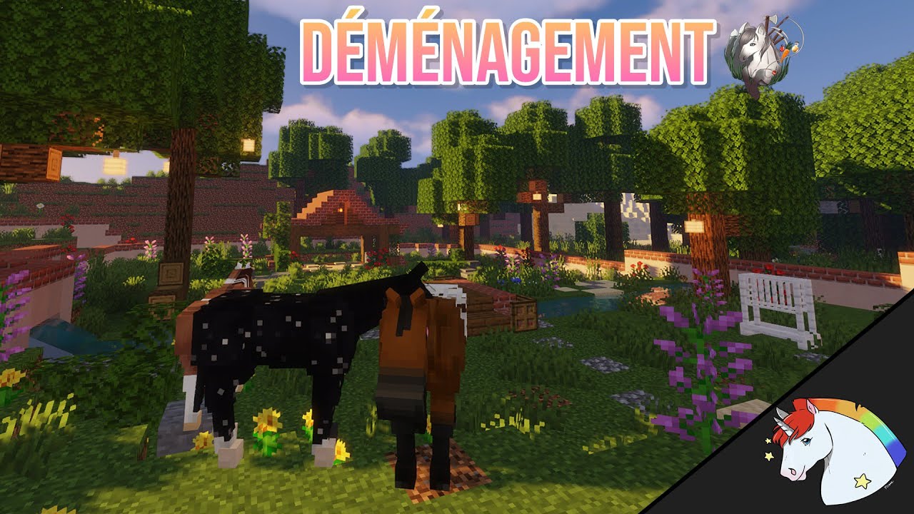 INSTALLATION DANS MES ECURIES 😍 - [Ekostria]