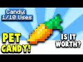 Is Pet Candy worth the MONEY? (Hypixel Skyblock)