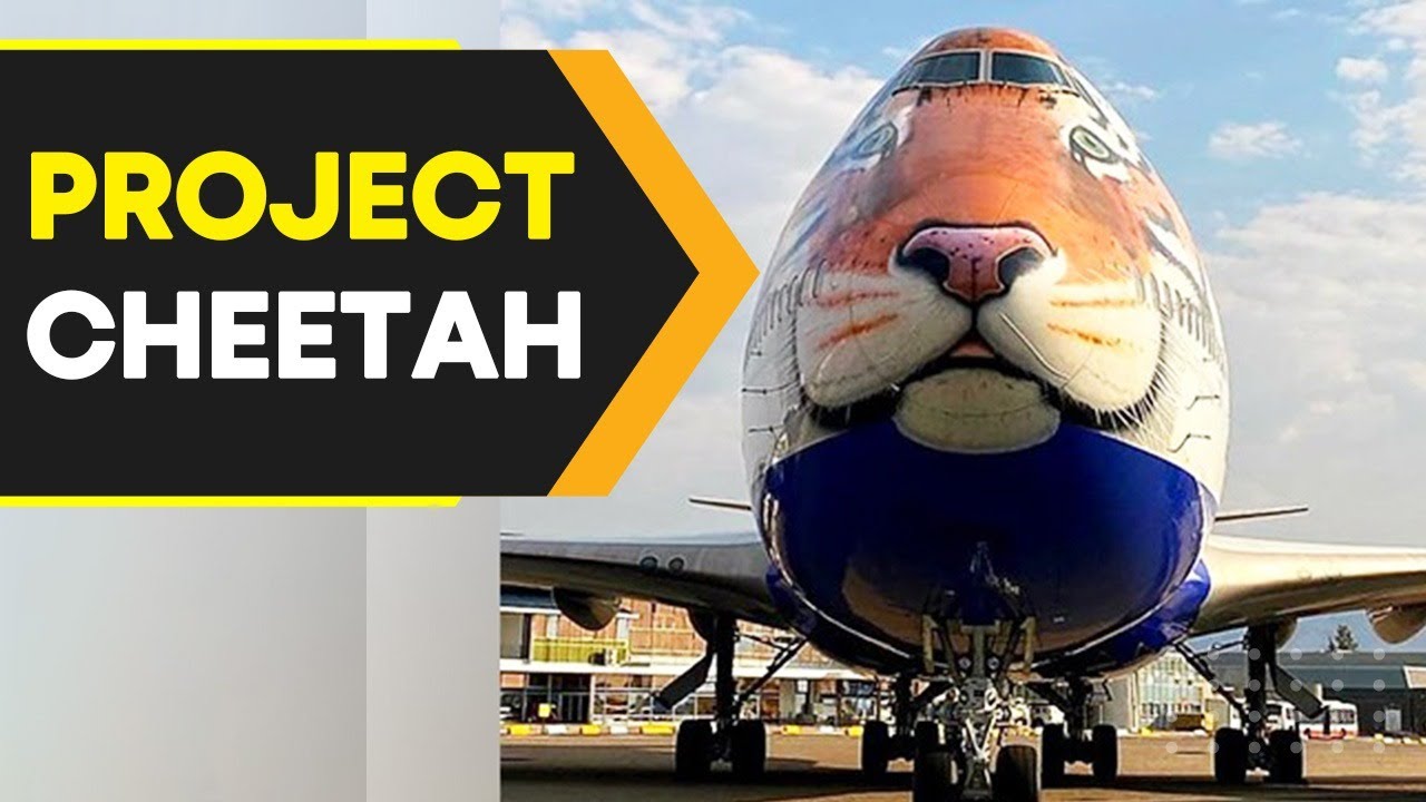What is Project Cheetah and how is it significant to India? | WION