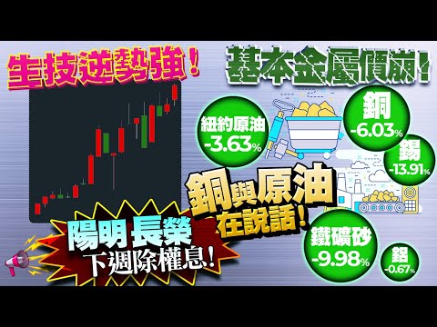 陽明、長榮下週除權息！基本金屬價崩！生技逆勢強！銅與原油在說話！2022/06/24【老王不只三分鐘】