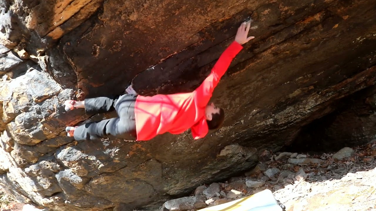 V14 Project Shopping in Arkansas