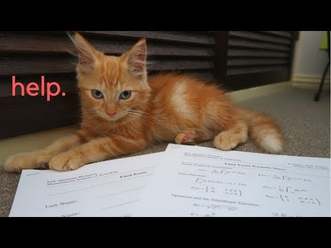 This is what a quantum physics exam looks like at MIT