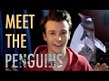 MEETING THE PENGUINS