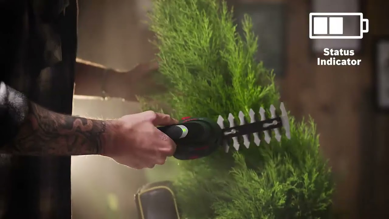 Dana Borisova becerdin porno video oladi Rus gey porno