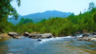 The sound of flowing water and birds singing - Highly relaxing natural scenery.
