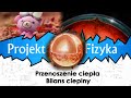 Przenoszenie ciepła i bilans cieplny