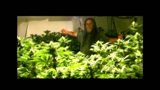 How To Grow Marijuana The Keeper Pop Up