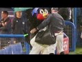 神宮に帰ってきたつば九郎！早速選手たちをお出迎え