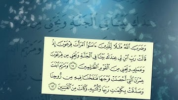 سورة التحريم - روائع ونوادر مشاري العفاسي 1421