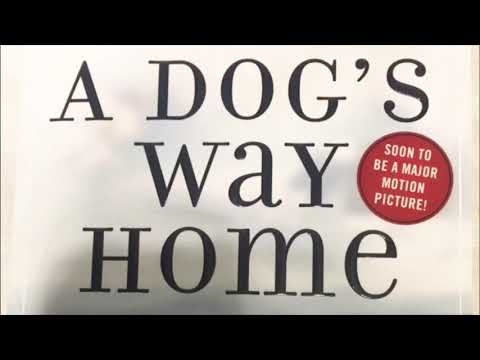 a-dogs-way-home-chapter-1