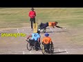      great fifty knock by sahil  wheel chair cricket