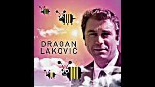 Video thumbnail of "Dragan Lakovic- Nek svud ljubav sja"
