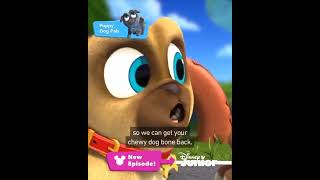 The Dog Bone In The Stone Riding In Ice Cream Trucks With Pups Premieres Tomorrow