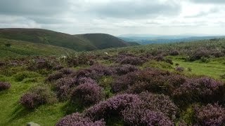 Shropshire Highlights (August 2016)