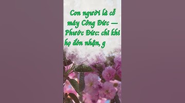 câu 144: Con người là cỗ máy Công Đức – Phước Đức: chỉ khi họ đón nhận, giá trị mới được kích hoạt.