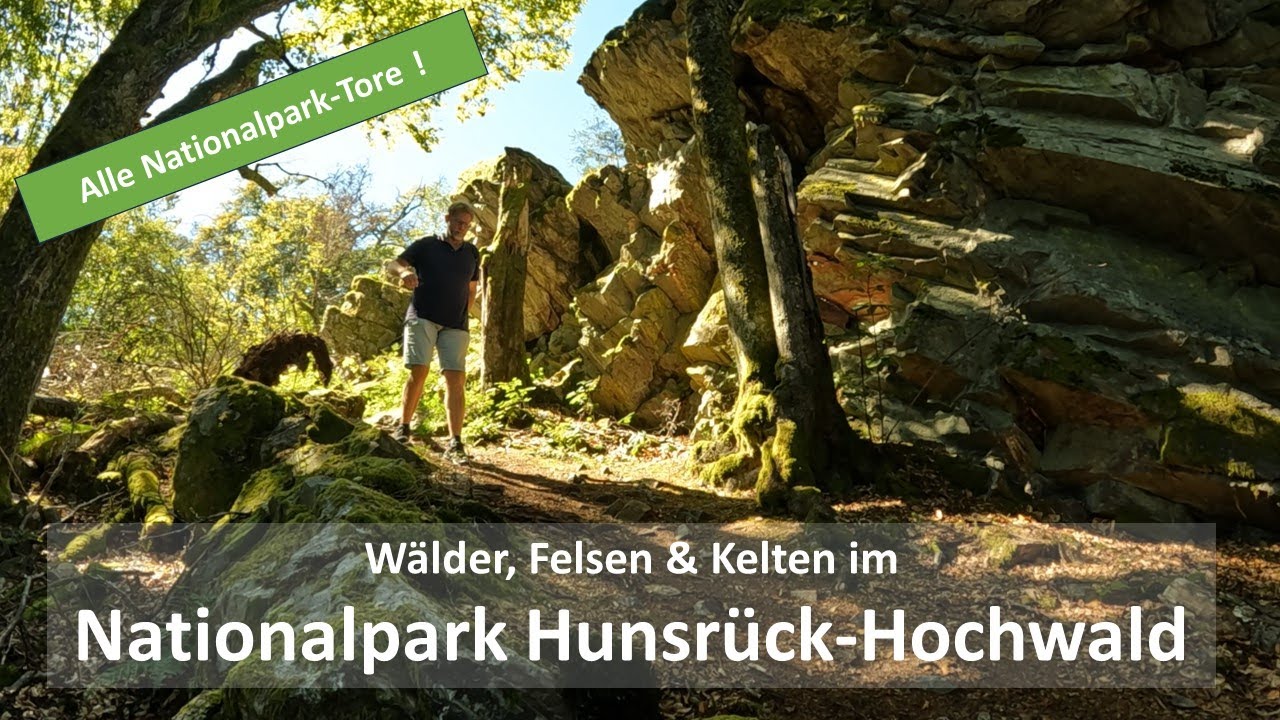 Nationalpark Hunsrück Hochwald: Wälder, Felsen & Kelten 