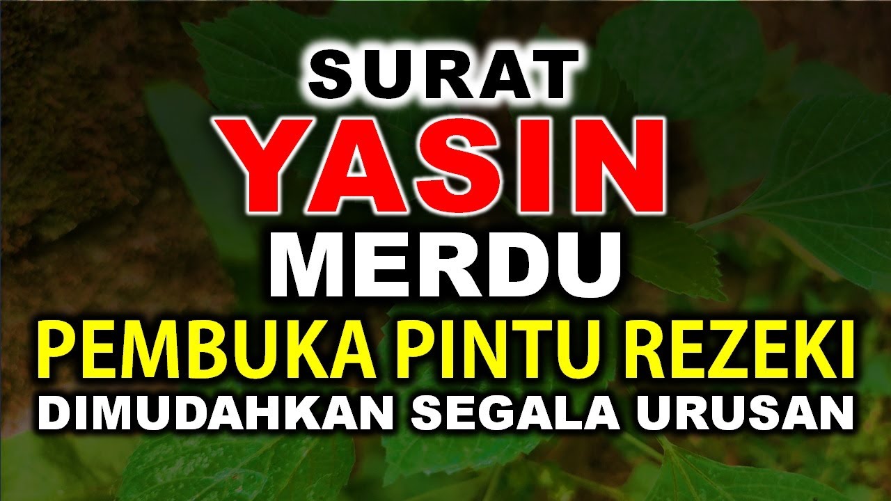 PELANCAR REZEKI PALING AMPUH SURAT YASIN MERDU MEMBUKA PINTU REZEKI MUROTTAL PELANCAR REZEKI