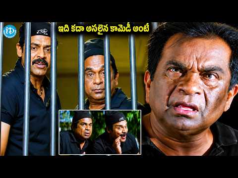 ఇది కదా అసలైన కామెడీ అంటే.! | Brahmanandam & Venkatesh Hilarious Comedy Scenes | Comedy