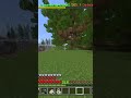 Another Acorn location revealed Cubecraft Skyblock