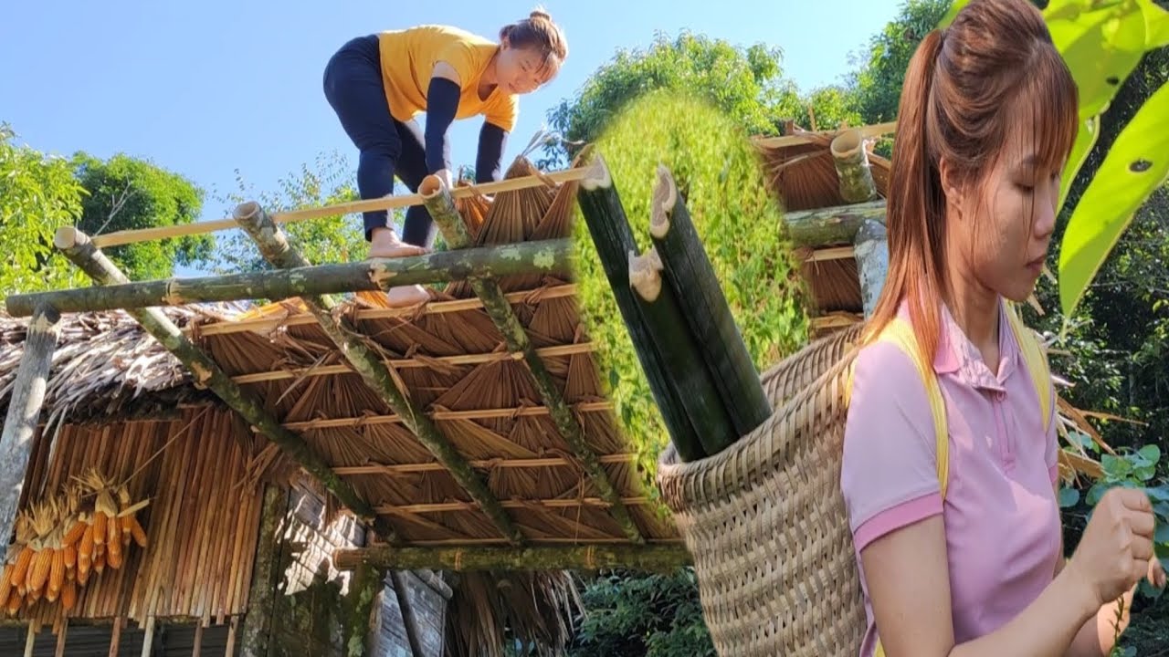 Build a bamboo stove and find food for lunch YouTube