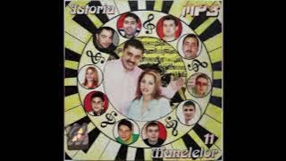 Nicusor Guta & Nicolae Guta - M-a innebunit o tiganca - colaj de 10 stele