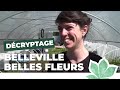 Parisculteurs  une ferme florale en plein belleville  paris nature    ville de paris