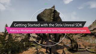 Getting Started With the Strix Unreal SDK screenshot 1