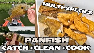 Multi-Species Panfish CATCH + CLEAN + COOK (Yellow Perch, Crappie, Sunfish)