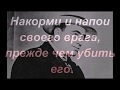 АЛЬ КАПОНЕ   ЦИТАТЫ, ВЫСКАЗЫВАНИЯ И АФОРИЗМЫ