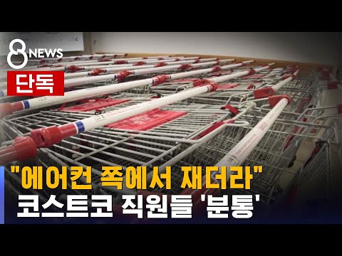   단독 뒷북 대응 나선 코스트코 실제 근무 장소 아냐 직원들 분통 SBS 8뉴스