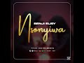 NSONYIWA BY BENJI ELISY Mp3
