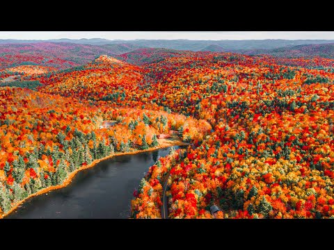 Videó: 15 Epic Fall Foliage Drives with Kids