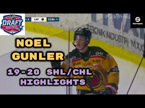 Noel Gunler 19-20 SHL Draft Highlights