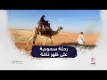 رحلة سعودية على ظهر ناقة رحلة سعودية على ظهر ناقة