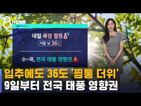 [Weather] 'Sweltering Heat' in Seoul Hits 36°C Even on Ipchu (Start of Autumn)... Nationwide Typh...