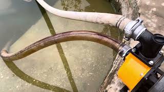 Bơm hút chân không đẩy áp dùng tưới tiêu ,tầu thuyền ,công trình lh 0983782136