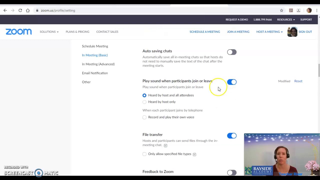 Settings in Zoom meetings 1/2 YouTube