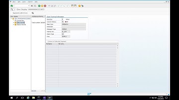 SAP IDoc Error Video