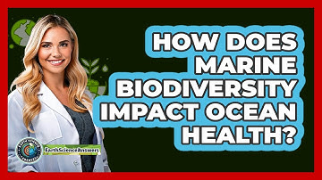 How Does Marine Biodiversity Impact Ocean Health? - Earth Science Answers