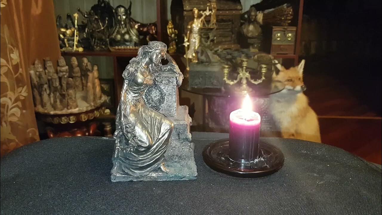 траурная вуаль. вдовы замуж. вдова женщина. фотосессия в загсе. вдовы замуж.