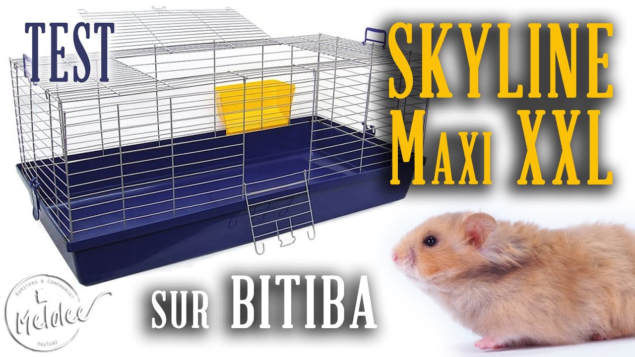 skyline hamster cage