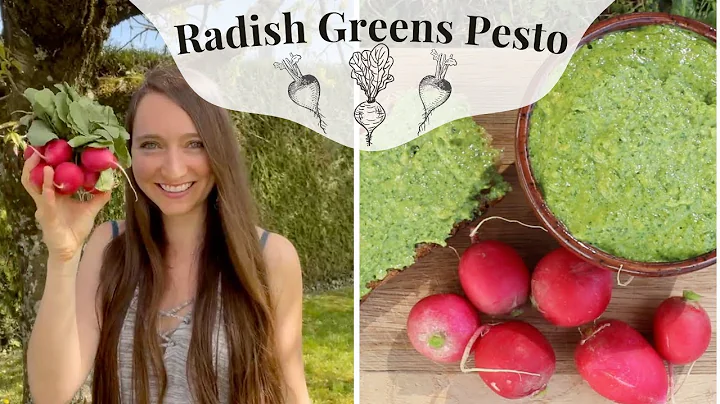 Radish Greens Pesto 🧄🌿 - DayDayNews