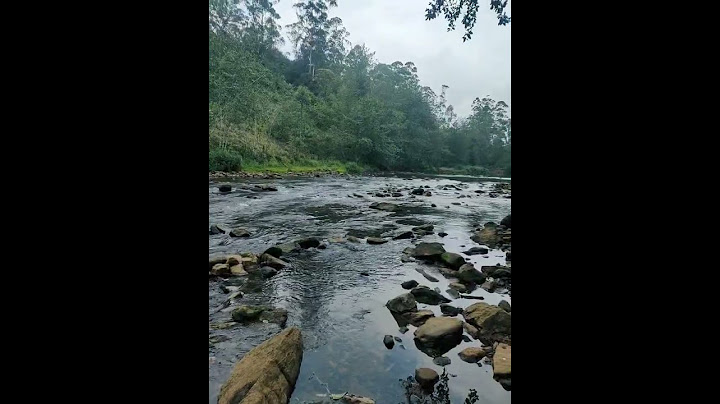beauty of the nature in Kerala
