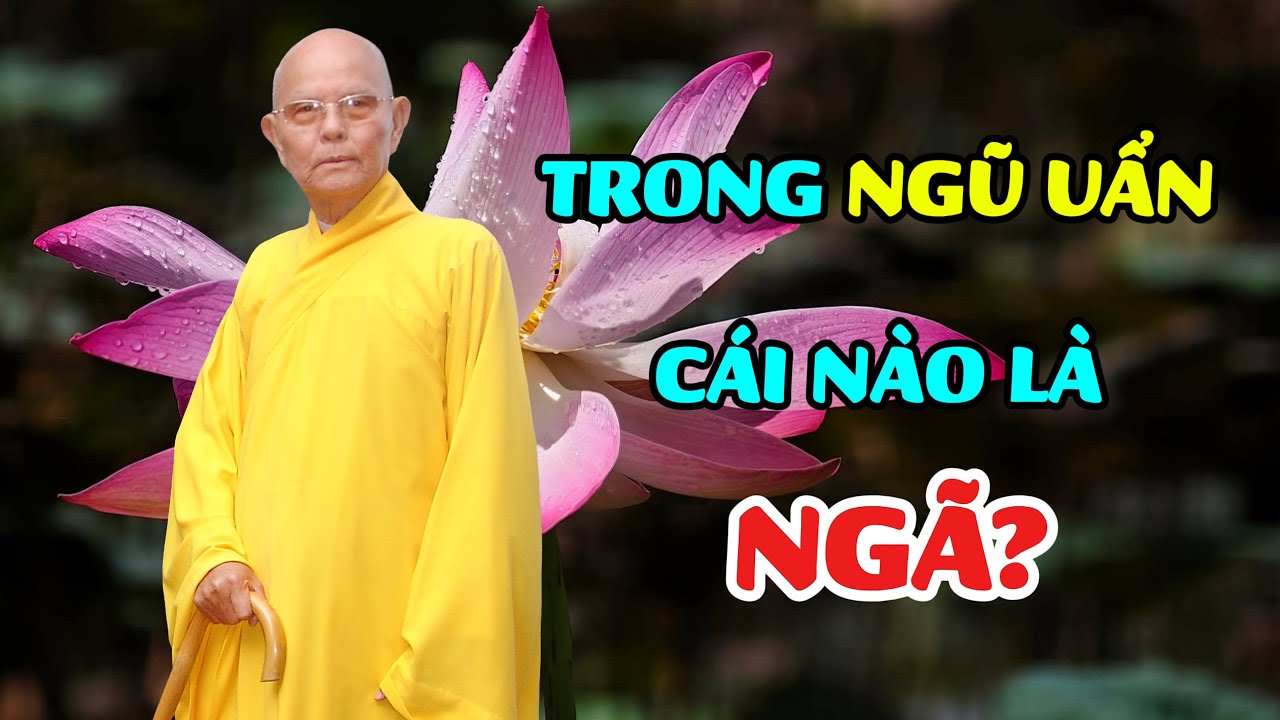 TRONG NGŨ UẨN CÁI NÀO LÀ NGÃ? - Hòa thượng TỪ THÔNG