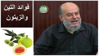 الشيخ بسام جرار | فوائد التين والزيتون
