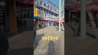 엄마와 함께 강화도 화개정원, 강화도 풍물시장 당일치기 여행 😄